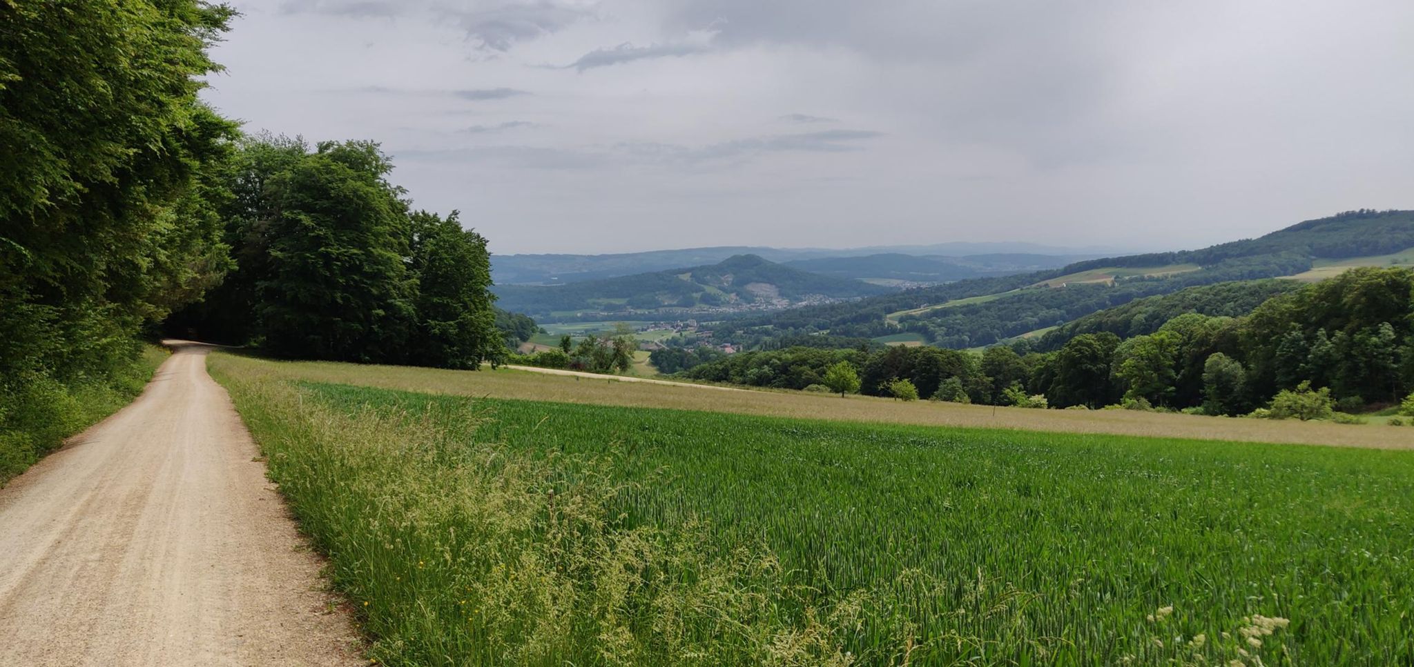 Hiking the Jura Crest Trail in 16 stages